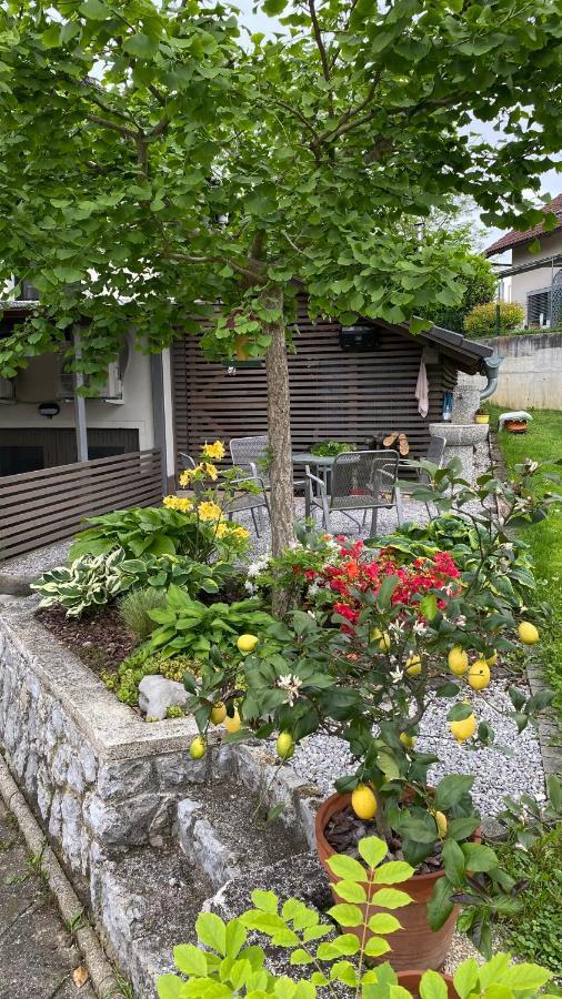 Apartma Nomad نوفو ميستو المظهر الخارجي الصورة